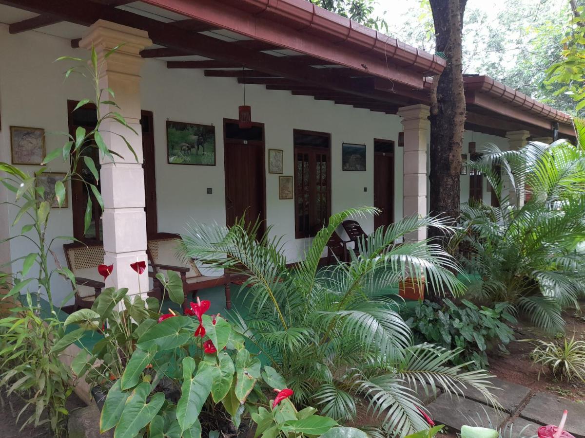 Sigiri Jungle Villa Sigiriya Exteriör bild