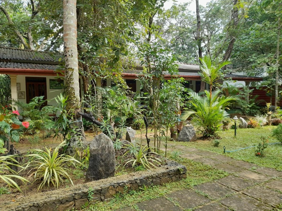 Sigiri Jungle Villa Sigiriya Exteriör bild