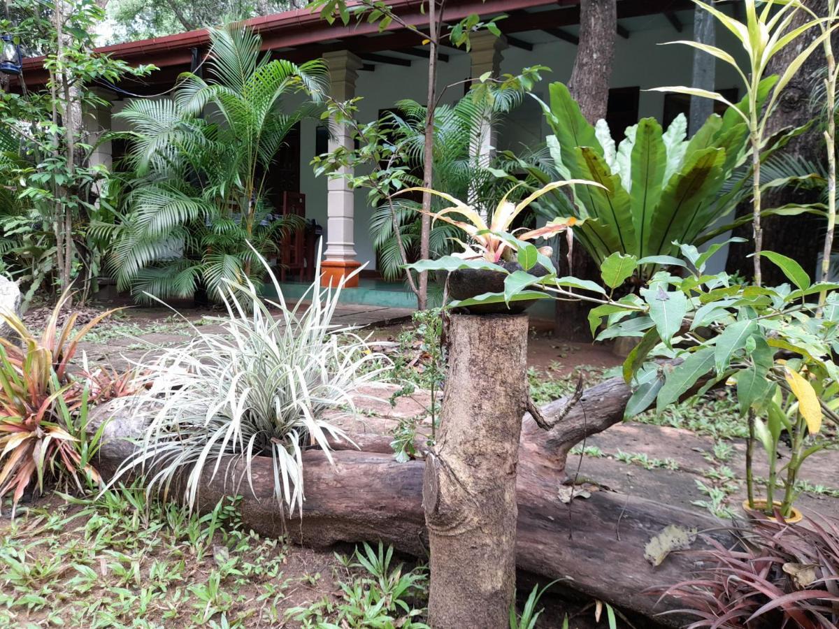 Sigiri Jungle Villa Sigiriya Exteriör bild