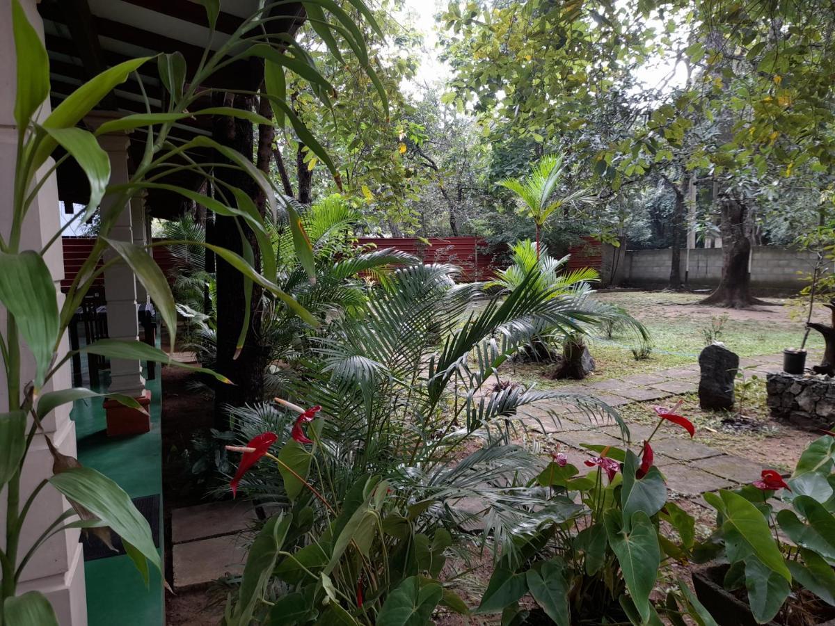 Sigiri Jungle Villa Sigiriya Exteriör bild