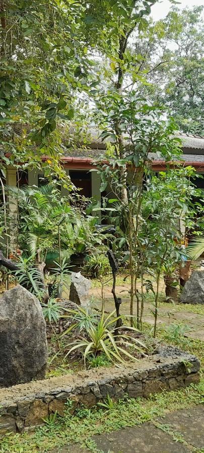 Sigiri Jungle Villa Sigiriya Exteriör bild